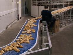 Convoyeur courbe - alimentaire