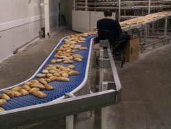 Plastic Conveyor - Curve - Food Industry