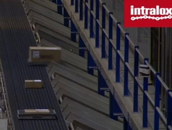 Sortation Conveyor ARB 2 -Triopac
