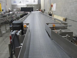 Mass conveyor